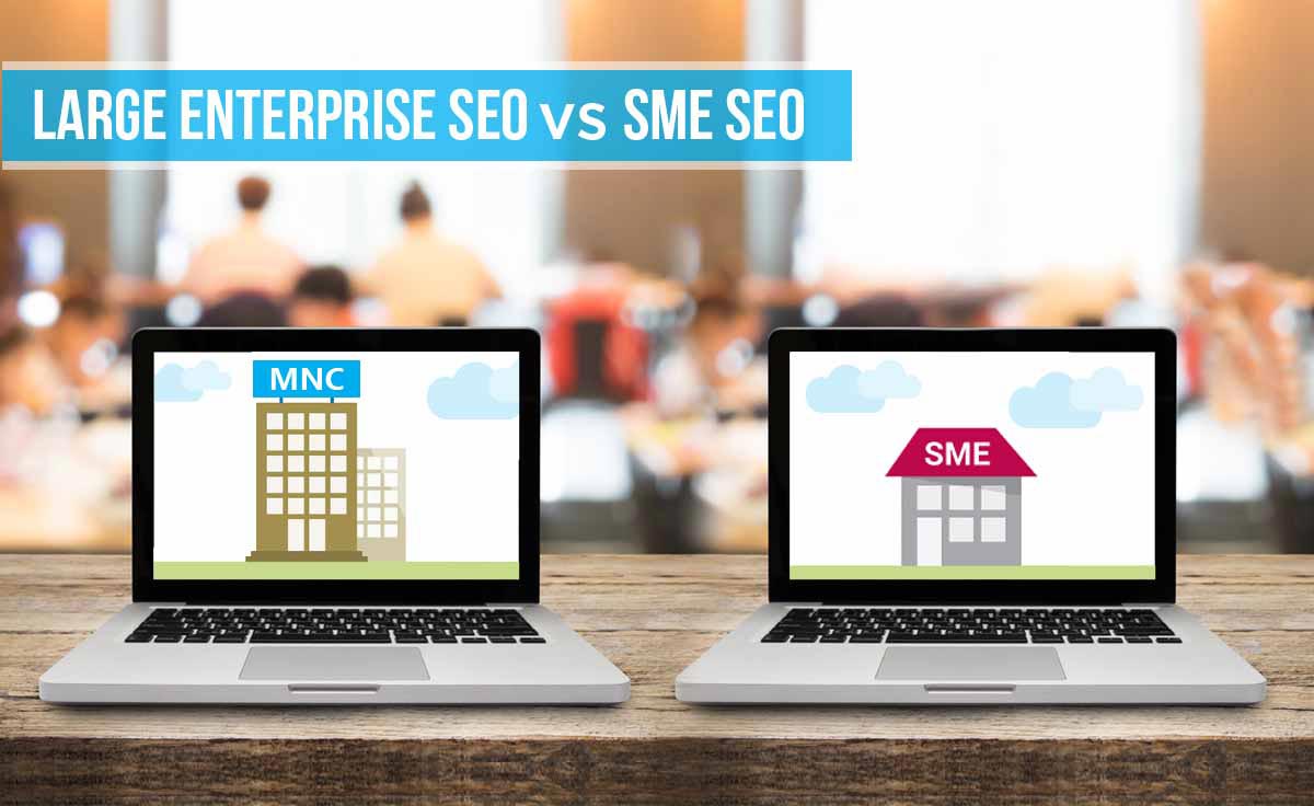 Large Enterprise and Small Medium SEO