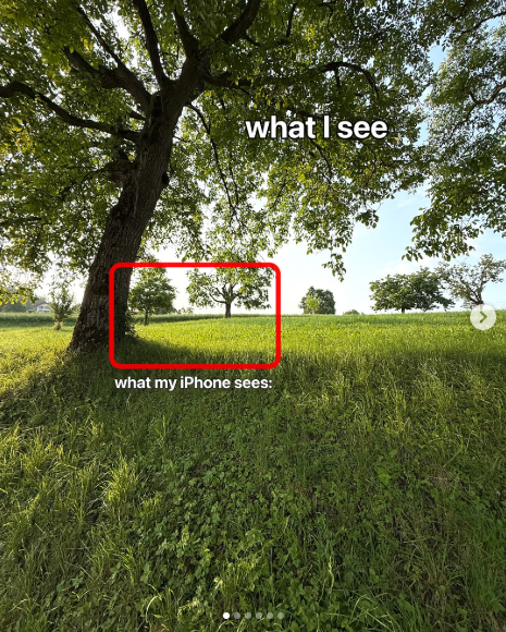 Picture11