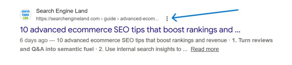 Search Engine Land - SERP View