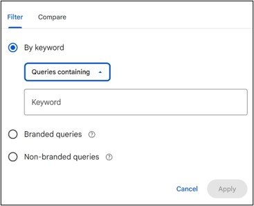 Google Search Console screenshot showing Query filter
